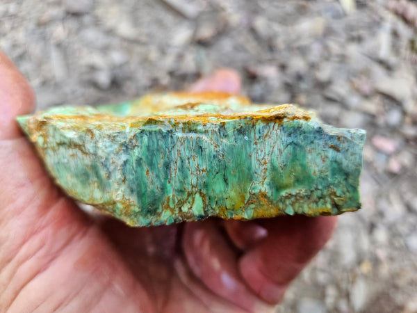 Variscite rough. VR603