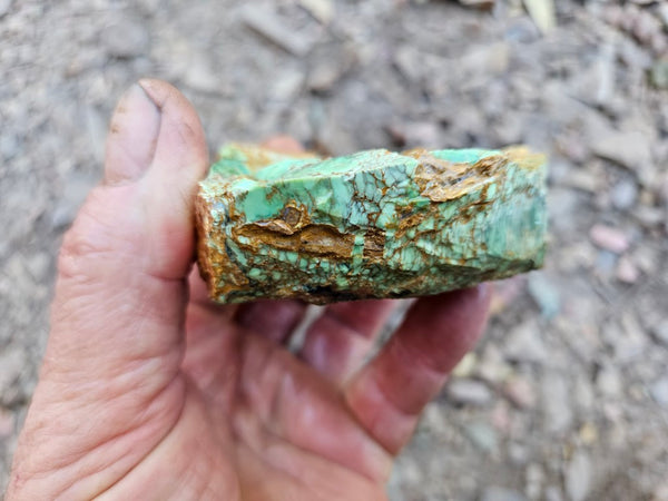 Variscite rough. VR603