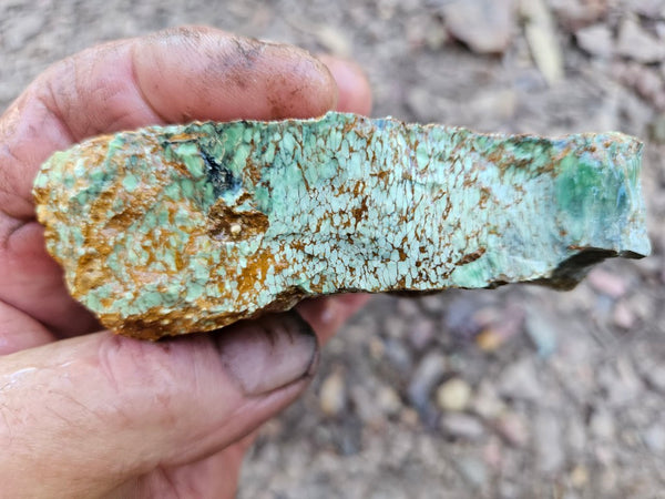 Variscite rough. VR603