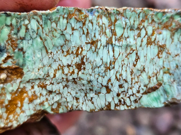 Variscite rough. VR603