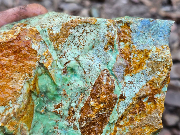 Variscite rough. VR603