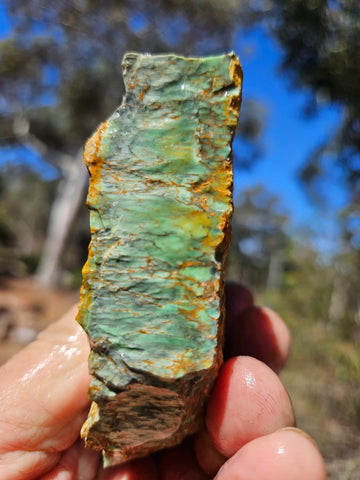 Variscite rough. VR603