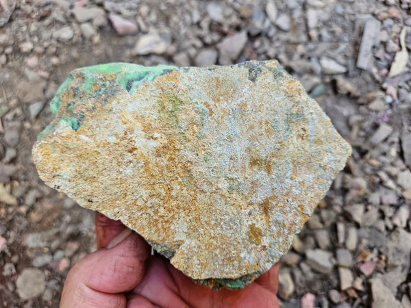 Variscite rough. VR602