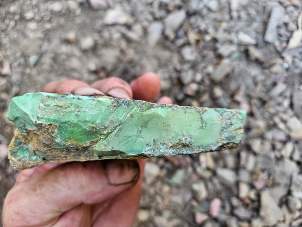 Variscite rough. VR602