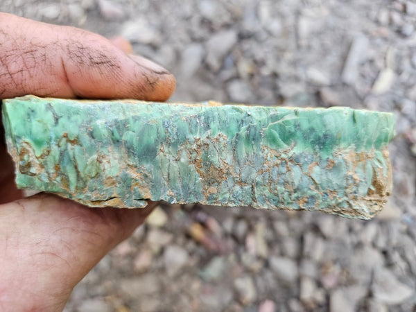 Variscite rough. VR602