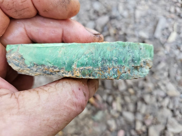 Variscite rough. VR602