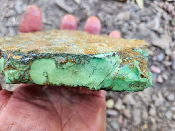 Variscite rough. VR602