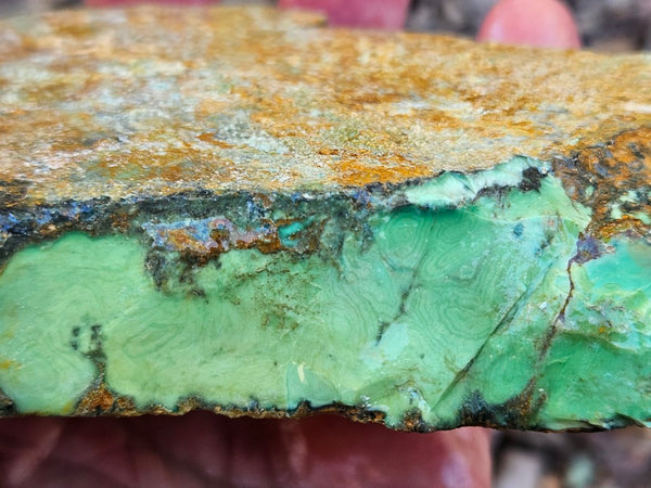 Variscite rough. VR602