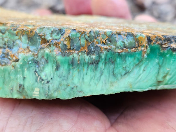 Variscite rough. VR602