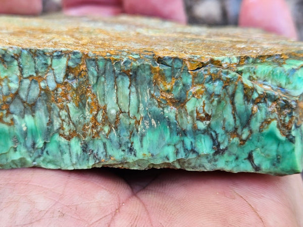 Variscite rough. VR602