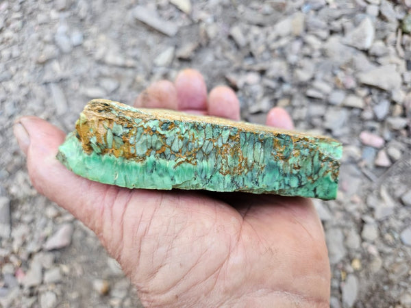 Variscite rough. VR602