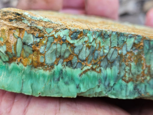 Variscite rough. VR602