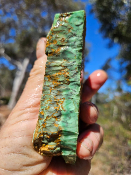 Variscite rough. VR602