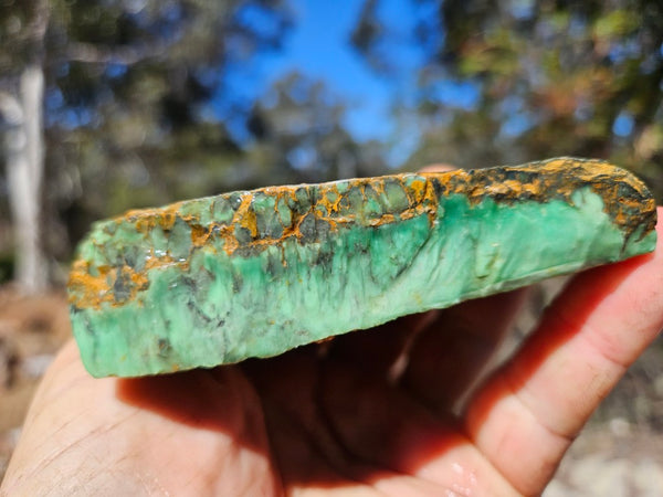 Variscite rough. VR602