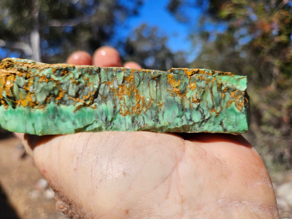 Variscite rough. VR602