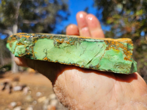 Variscite rough. VR602