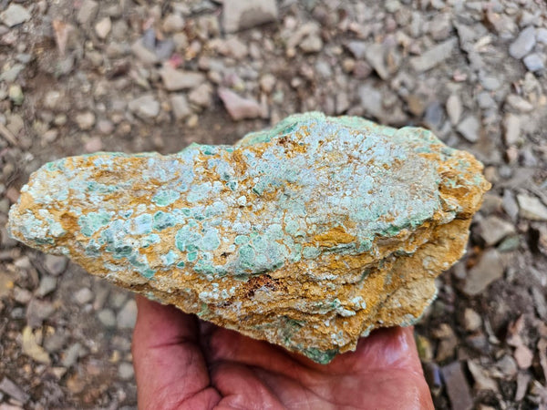 Variscite rough. VR601