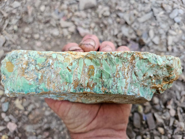 Variscite rough. VR601