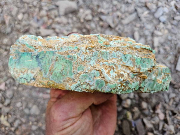 Variscite rough. VR601