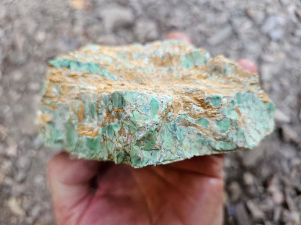 Variscite rough. VR601