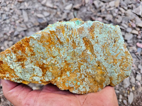 Variscite rough. VR601