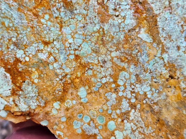 Variscite rough. VR601