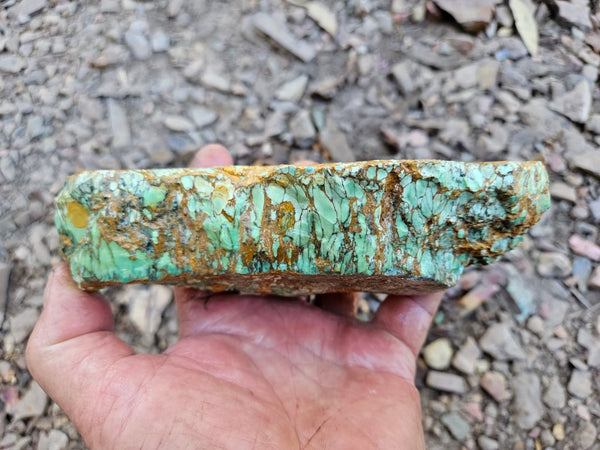 Variscite rough. VR601