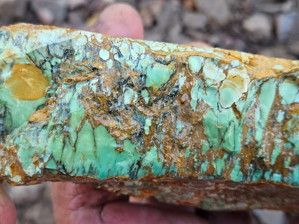 Variscite rough. VR601