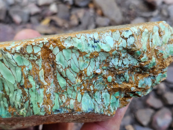 Variscite rough. VR601