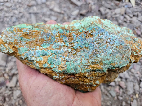 Variscite rough. VR601