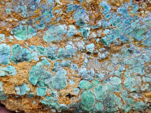 Variscite rough. VR601