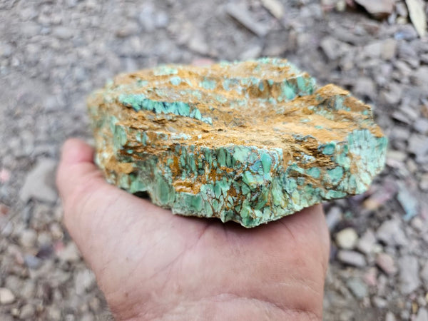 Variscite rough. VR601