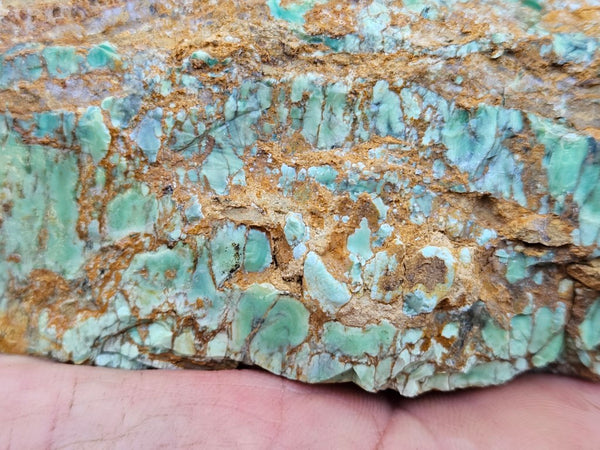 Variscite rough. VR601