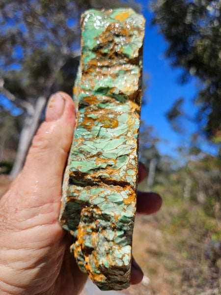 Variscite rough. VR601