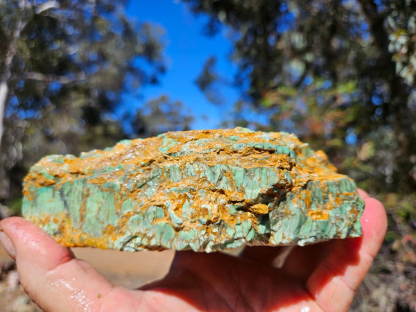 Variscite rough. VR601