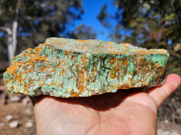 Variscite rough. VR601
