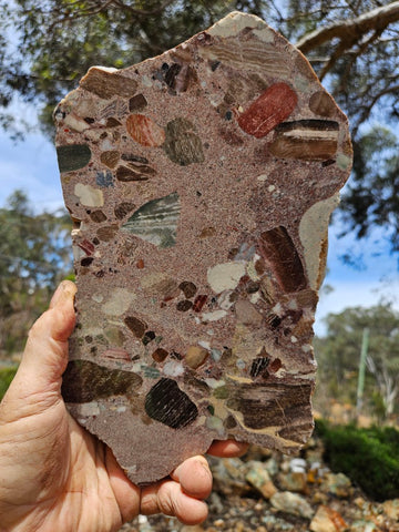 Polished Marillana Conglomerate slab MC124
