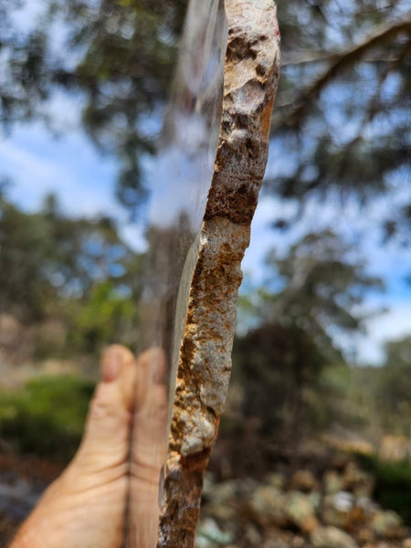 Polished Marillana Conglomerate slab MC124