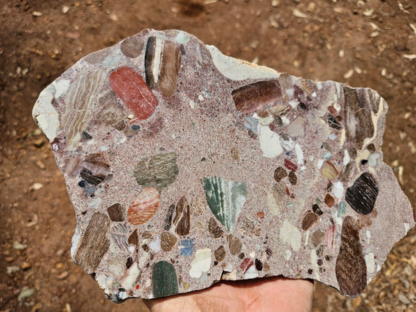 Polished Marillana Conglomerate slab MC124