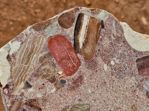 Polished Marillana Conglomerate slab MC124