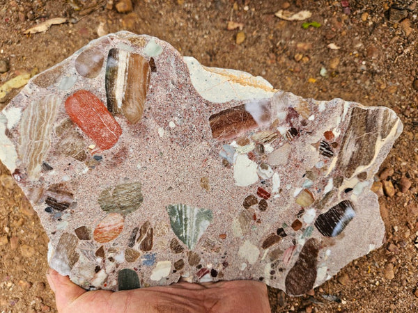 Polished Marillana Conglomerate slab MC124