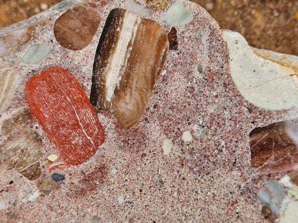 Polished Marillana Conglomerate slab MC124