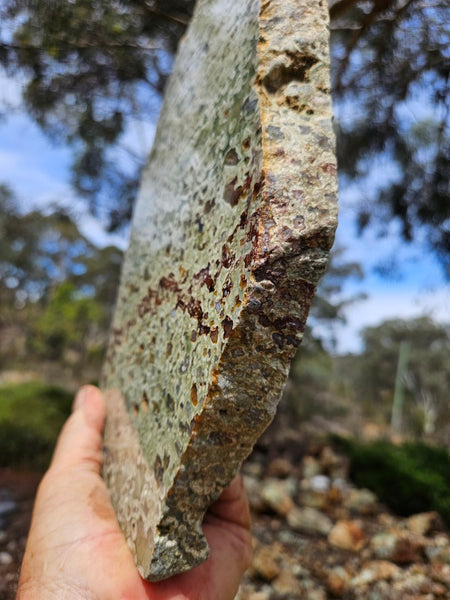 Polished Rainforest Jasper slab RFJ157