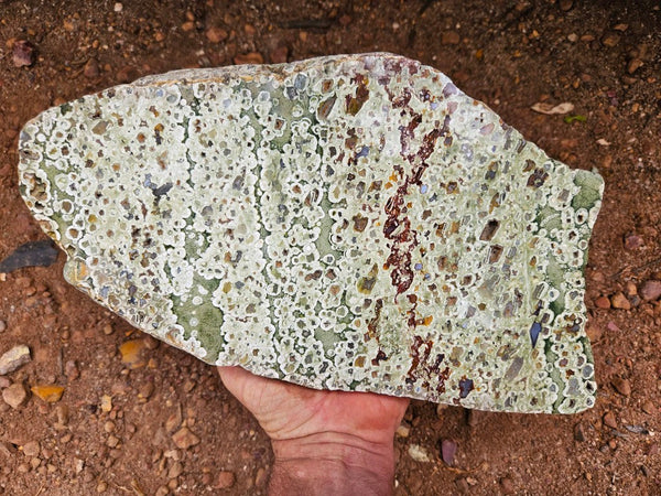 Polished Rainforest Jasper slab RFJ157