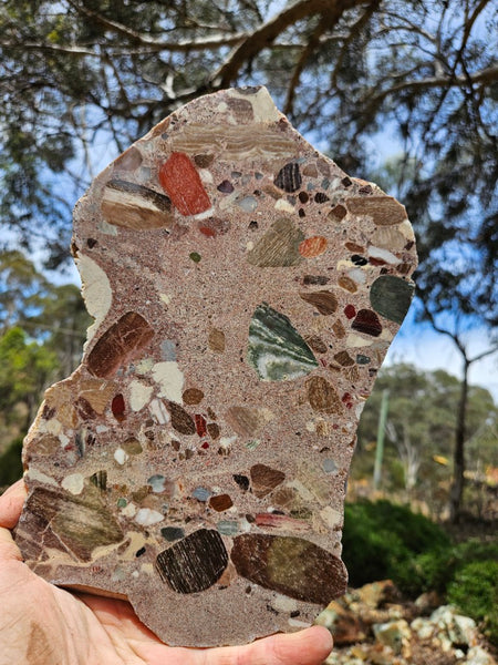 Polished Marillana Conglomerate slab MC125