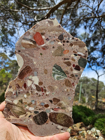 Polished Marillana Conglomerate slab MC125