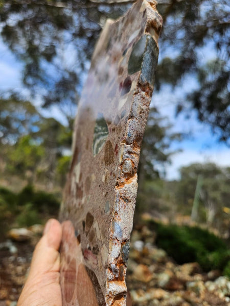 Polished Marillana Conglomerate slab MC125