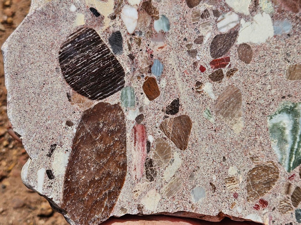 Polished Marillana Conglomerate slab MC125