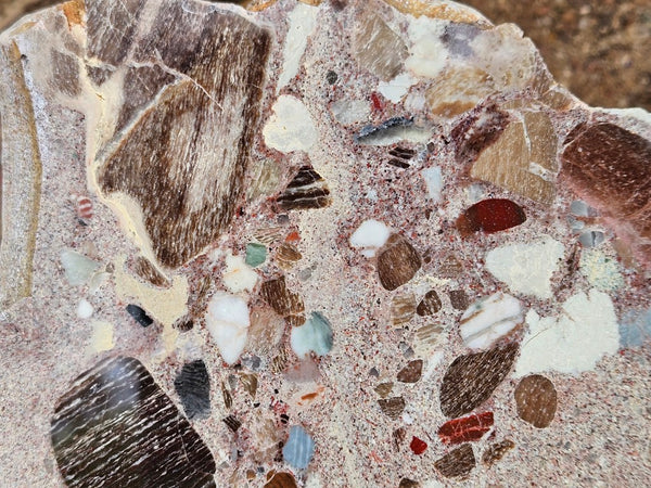 Polished Marillana Conglomerate slab MC125