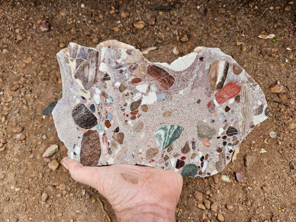 Polished Marillana Conglomerate slab MC125